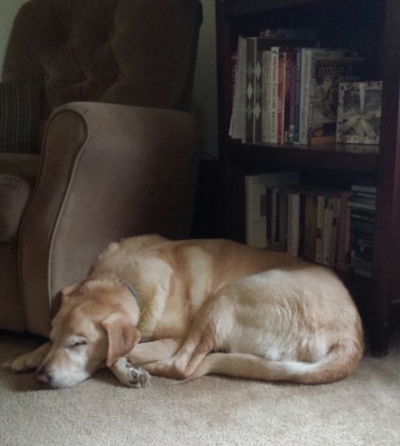 20150627_151458-1.jpg 20150627_151458-1.jpg