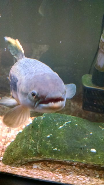 IMG_20160215_011800434.jpg