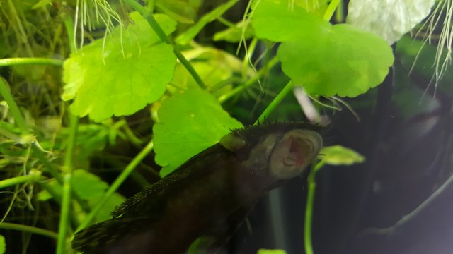 20160215_095936.jpg 20160215_095936.jpg