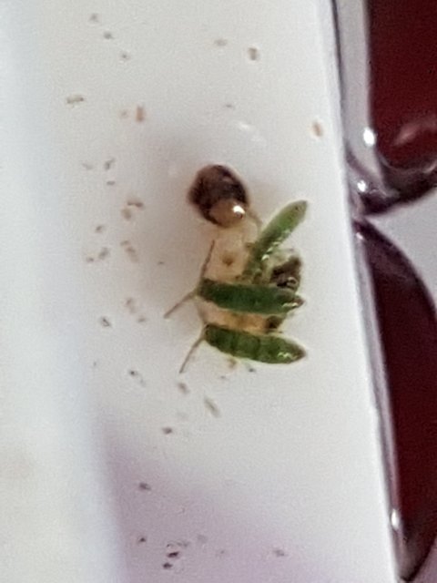 20160215_133111.jpg