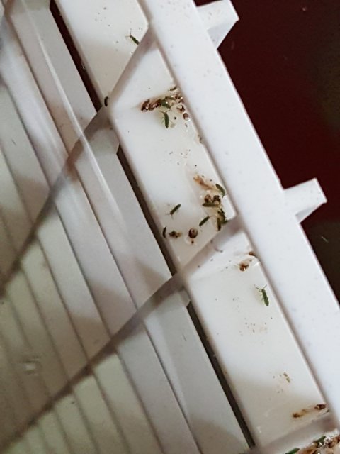 20160215_101306.jpg