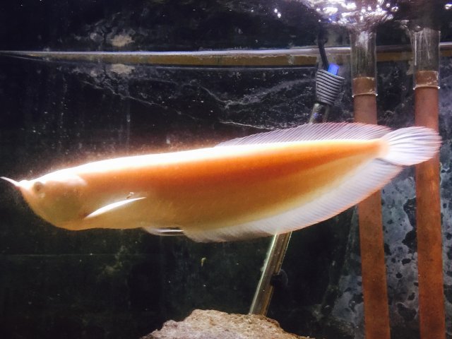 image.jpeg image.jpeg