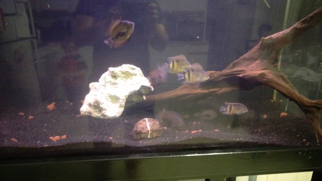 IMAG0709.jpg IMAG0709.jpg