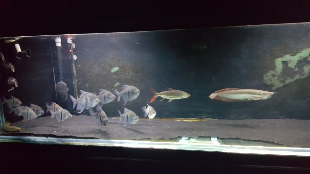 20160216_192440.jpg