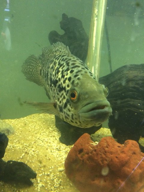 IMG_4394.JPG