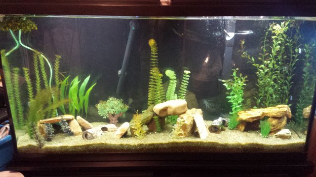 20160216_172824 (1).jpg