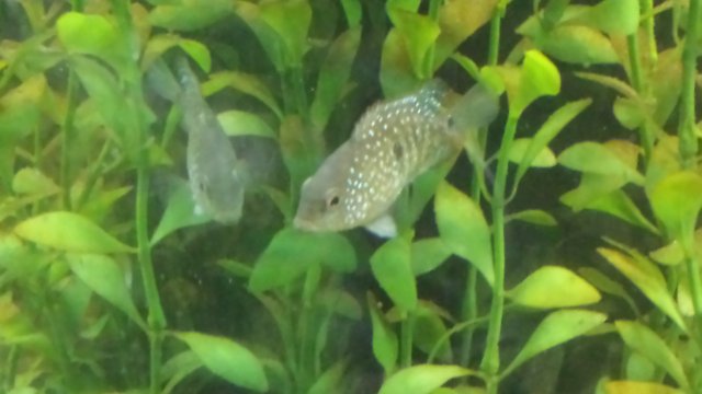 20160213_113204.jpg
