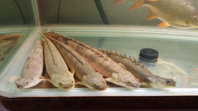 20160214_174101.jpg