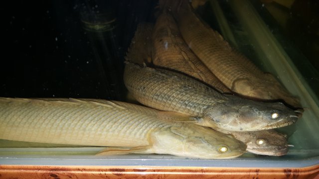 20160217_011735.jpg