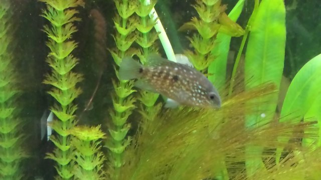 20160217_063837.jpg