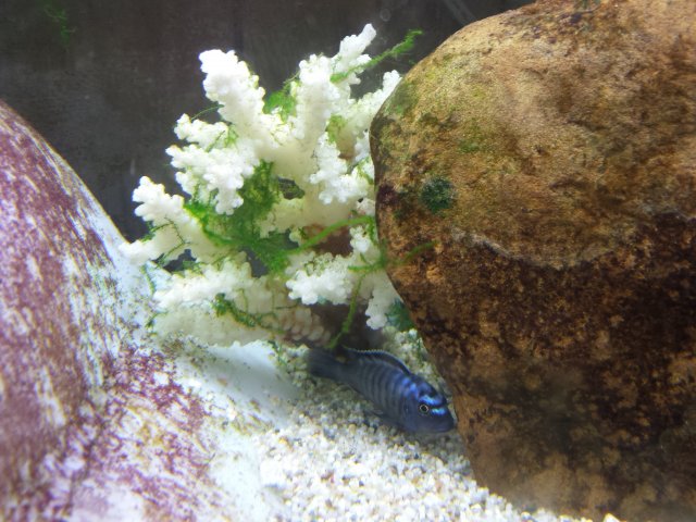 20160218_194605.jpg