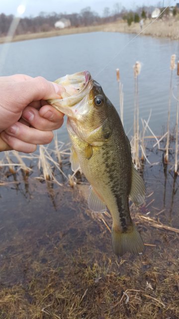 20160221_125551.jpg
