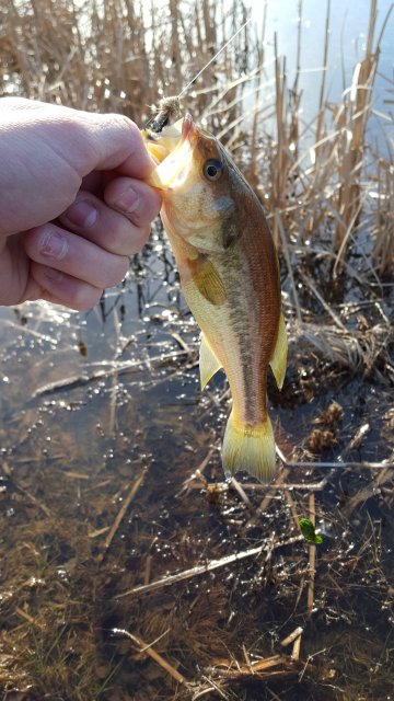 20160220_151240.jpg