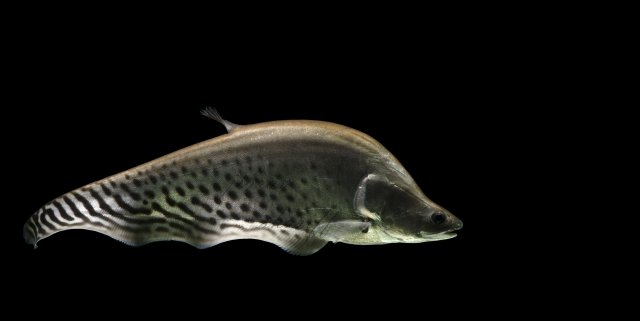 DSC_4186.jpg