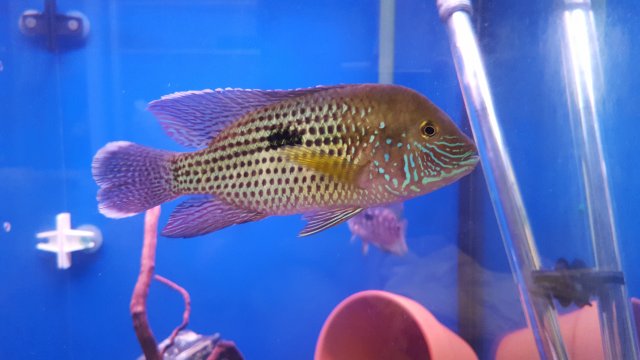 20160225_220627.jpg