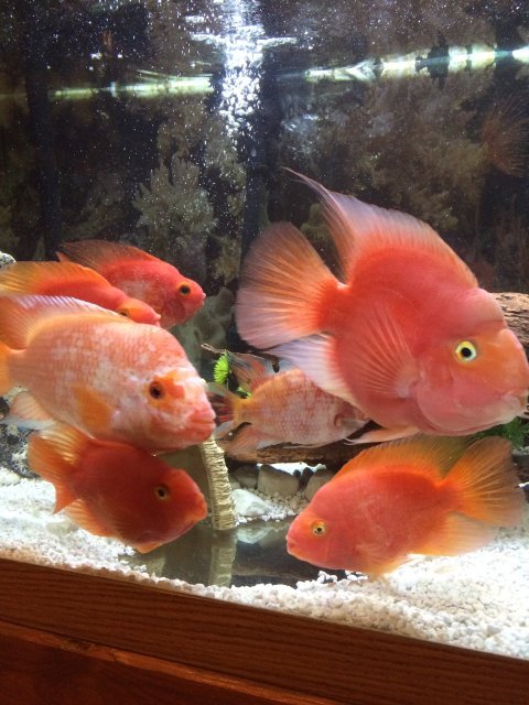 image.jpeg image.jpeg