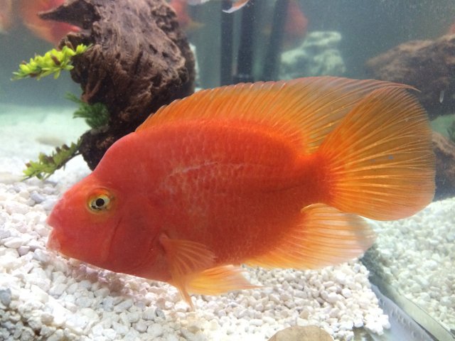 image.jpeg image.jpeg