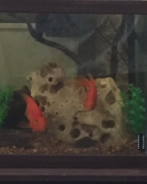 image.jpeg image.jpeg