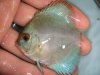 DSC00139.JPG