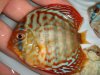 DSC00138.JPG