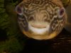 fish tank 048.JPG