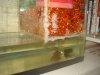 finished sump 004.jpg