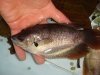 DSC00142.JPG