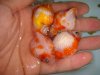DSC00148.JPG
