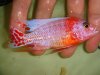 DSC00153.JPG