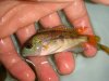 DSC00160.JPG
