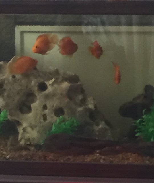 image.jpeg image.jpeg