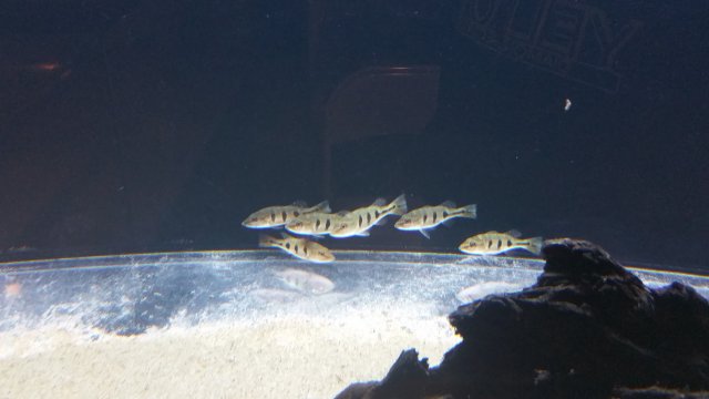 20160226_072828.jpg