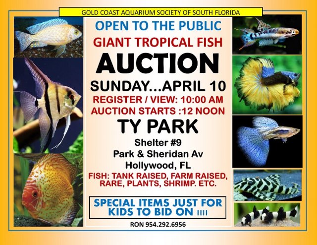 GCAS AUCTION April 2016.jpg