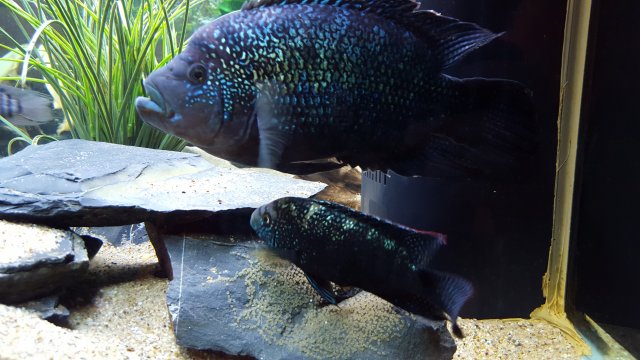 20160227_123519.jpg