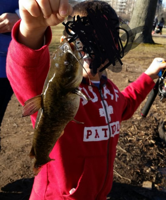 2016-02-28 17.25.20.jpg
