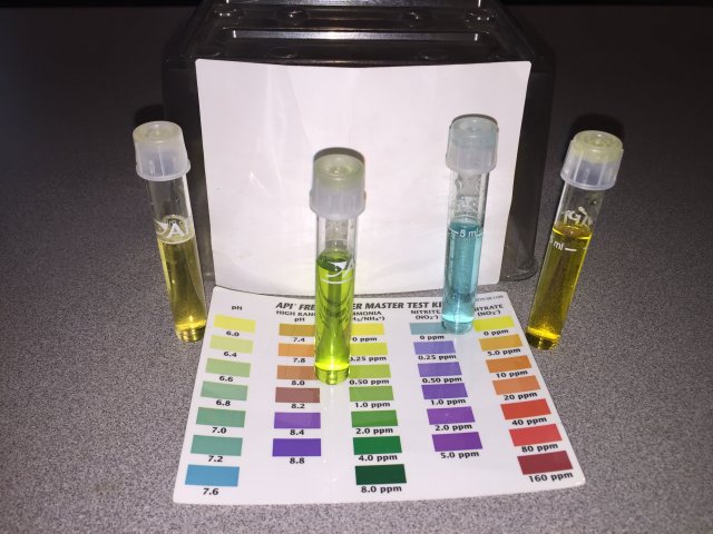 20120228.JPG 20120228.JPG