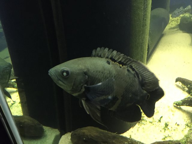 IMG_7611.JPG IMG_7611.JPG