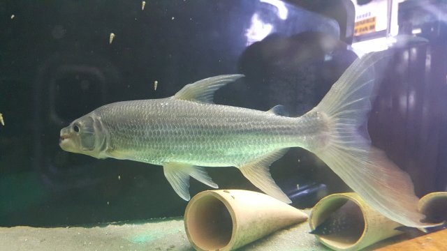 20160228_135033.jpg