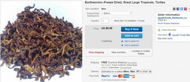 earthworms.JPG