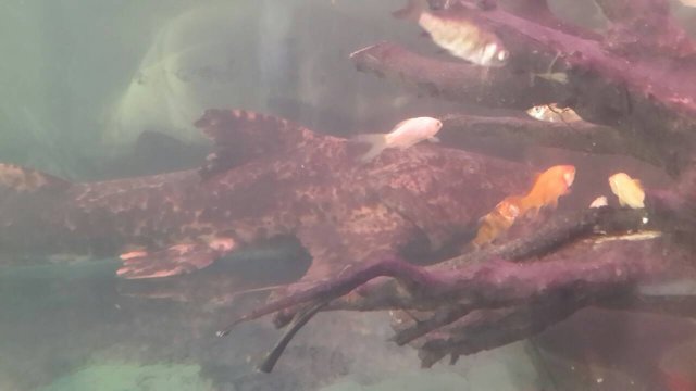 S_3958766632597.jpg