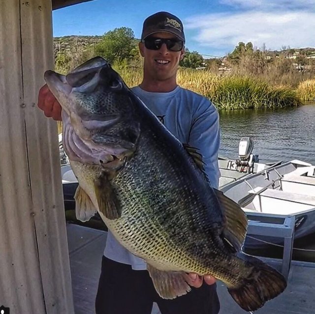 springer-16-pound-bass-dock.jpg
