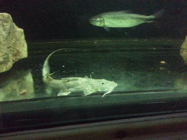 20160229_182432.jpg