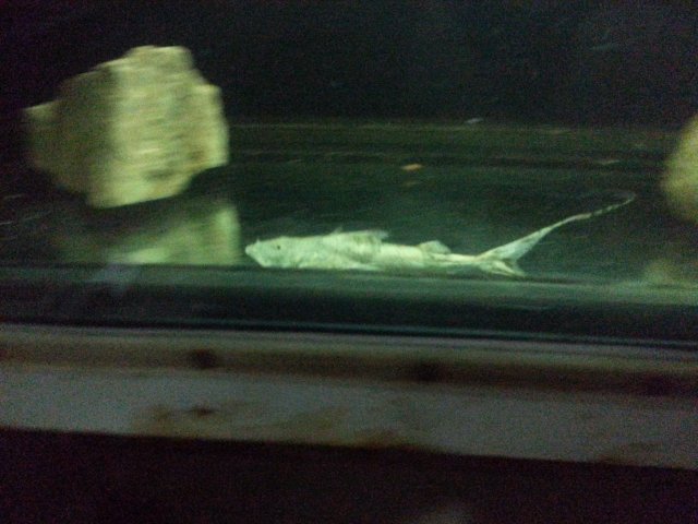20160229_182234.jpg