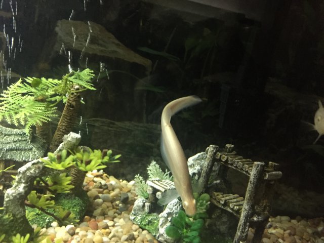 image.jpeg image.jpeg