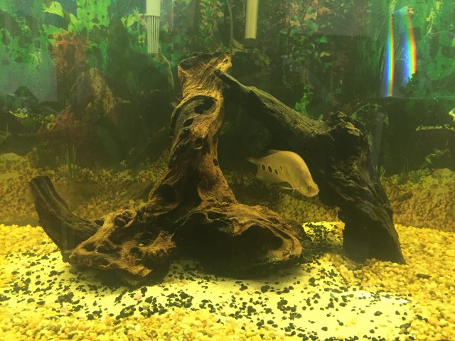 image.jpeg image.jpeg