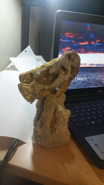 20160301_193345.jpg