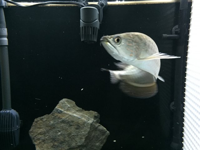 image4.jpeg
