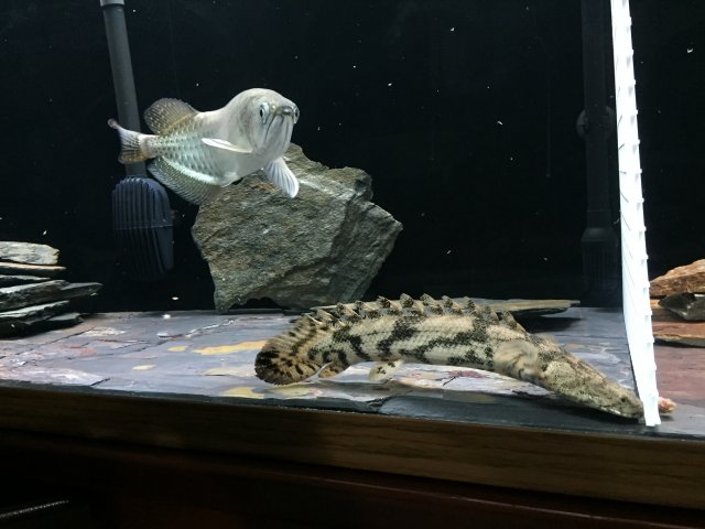 image2.jpeg