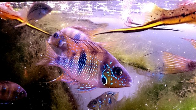 _20160303_195526.JPG