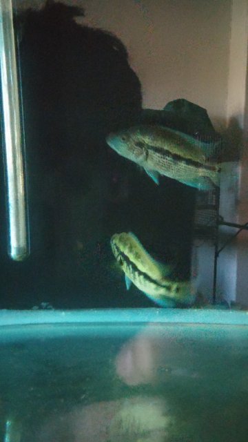 20160229_071412.jpg 20160229_071412.jpg